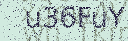 Code loading...