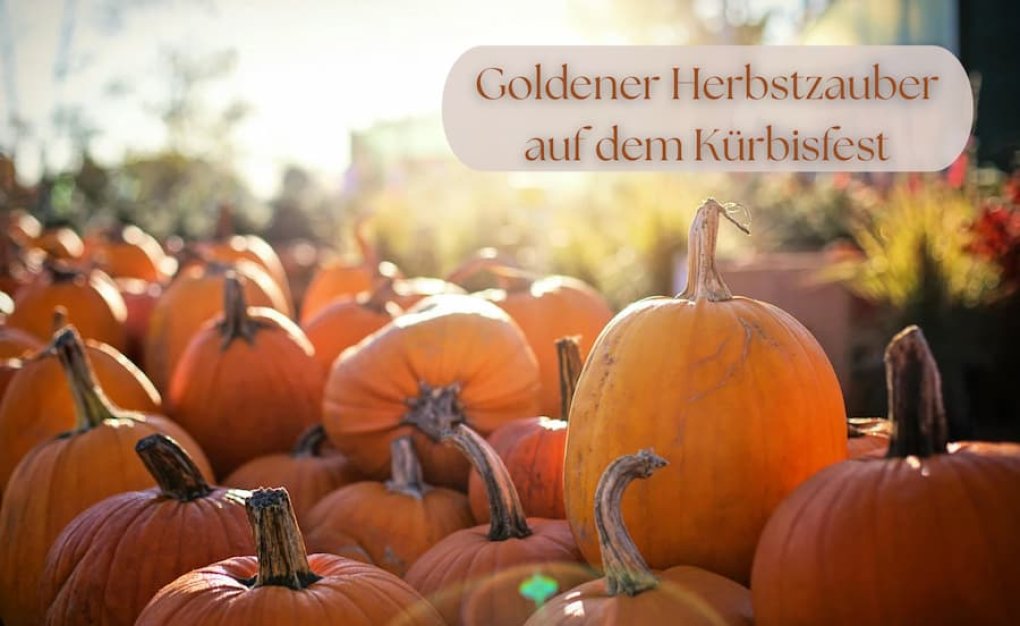 Kürbisse im warmen Herbstlicht auf einem Kürbisfest, herbstliche Stimmung