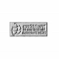 Ersatzplatte Colop Stamp Mouse 30