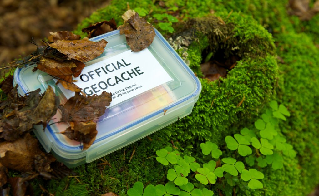 Offizielle Geocache Box auf moosigem Waldboden mit Blättern bedeckt