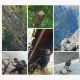 Bilder-von-einer-Perosn-die-einen-Stempel-beim-Geocaching-verwendet